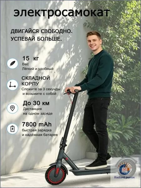 Электросамокат 019e958f204b78428f3e5b0a9e434f5b, черный матовый