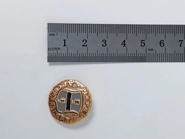 Значок "Чернь", серия "Древний герб", герб, геральдика