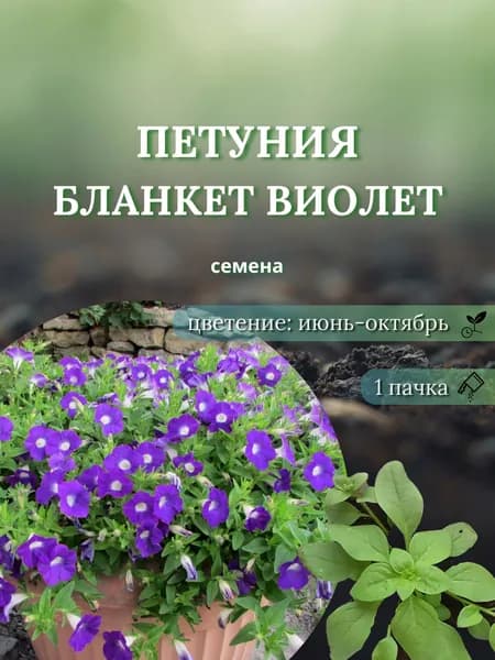 Петуния Бланкет Виолет (Blanket Violet), семена, 10 шт.