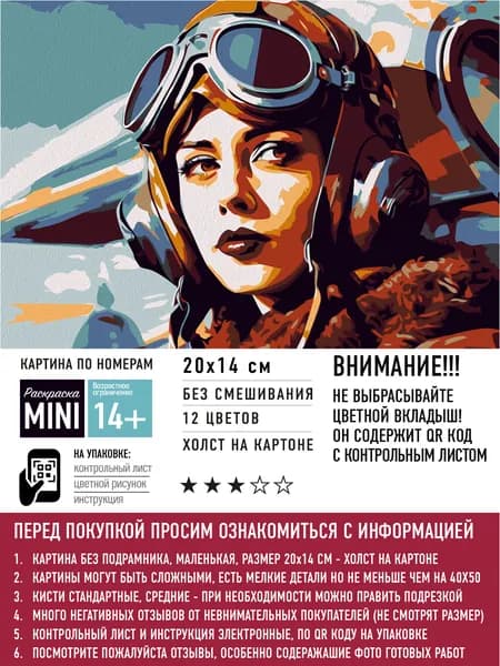 Картина по номерам маленького размера (холст на картоне) - Девушка-пилот