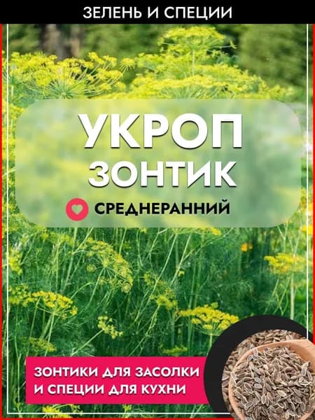 Укроп "Зонтик" семена, крупный многолучевой зонтик высотой до 1 метра