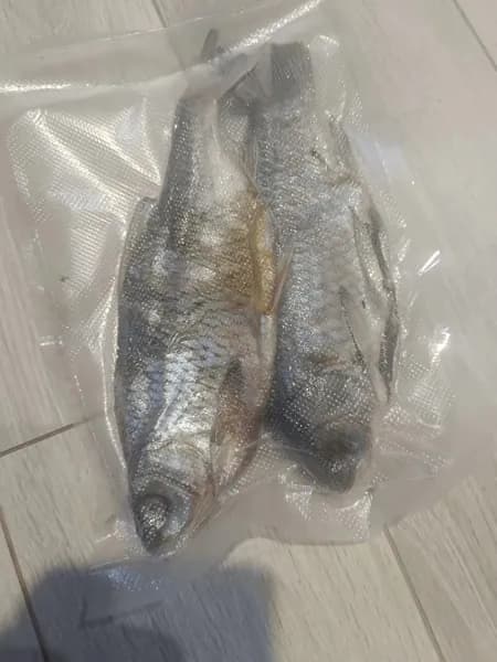 Вяленая рыба Карась.Плотва