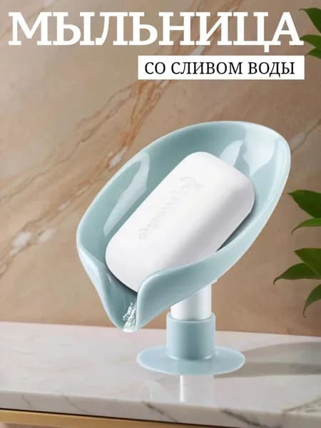 Мыльница