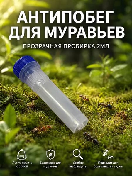 Пробирка 2 мл для муравьев, контейнер для сбора и перевозки муравьев