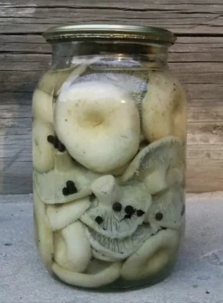 Грузди соленые 1л.