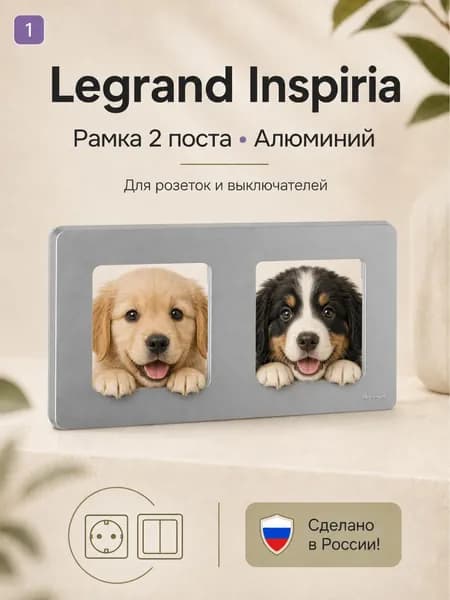 Рамка 2 поста - Legrand Inspiria - алюминий