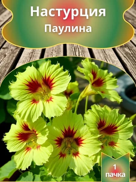 Настурция Паулина , семена 10 шт.