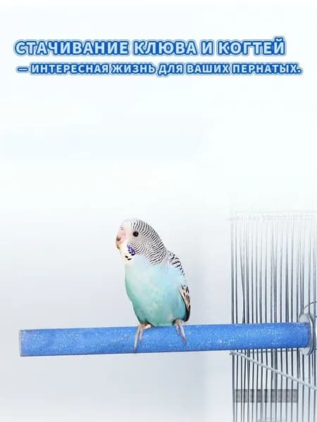 Минеральный точильный камень с витаминами для птиц и попугаев, морской коралловый риф-20 см