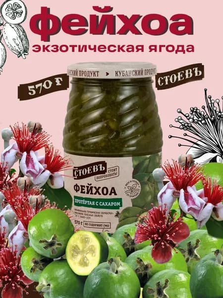 Фейхоа протертое с сахаром 1 шт 570 гр