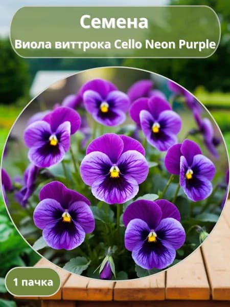Виола виттрока Cello Neon Purple, семена 10 шт