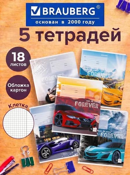 Тетради в клетку для мальчика 18 листов обложка картон (5 штук)