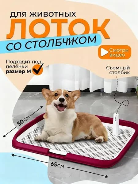 Большой лоток для собак под одноразовые пеленки