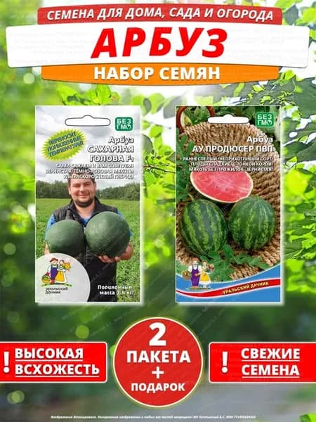 Семена арбуз для дома сада посадки