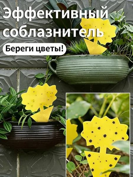 10 двусторонних клейких ловушек для насекомых неправильной формы, подходящих для горшечных растений и цветов.