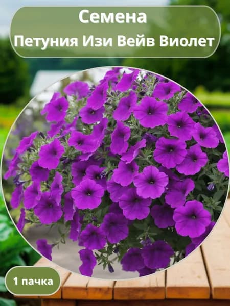 ПетунияИзи Вейв Виолет, семена 10 шт