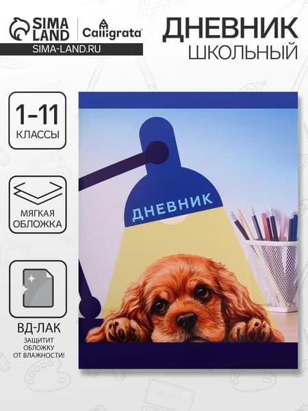 Дневник школьный A5, листов: 40