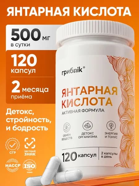 Янтарная кислота 120 капсул, грибnik