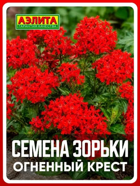 Семена Зорька "Огненный крест" 0,1 гр, многолетние цветы для дома и дачи, сада и огорода, клумбы, в открытый грунт, в ящик.