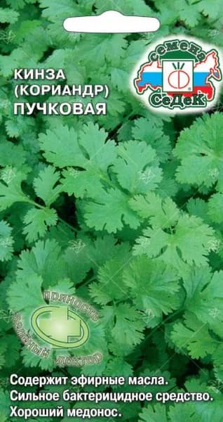 Семена кориандра "Кинза Пучковая"