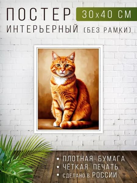 Постер для интерьера на стену Рыжий кот 30х40 см