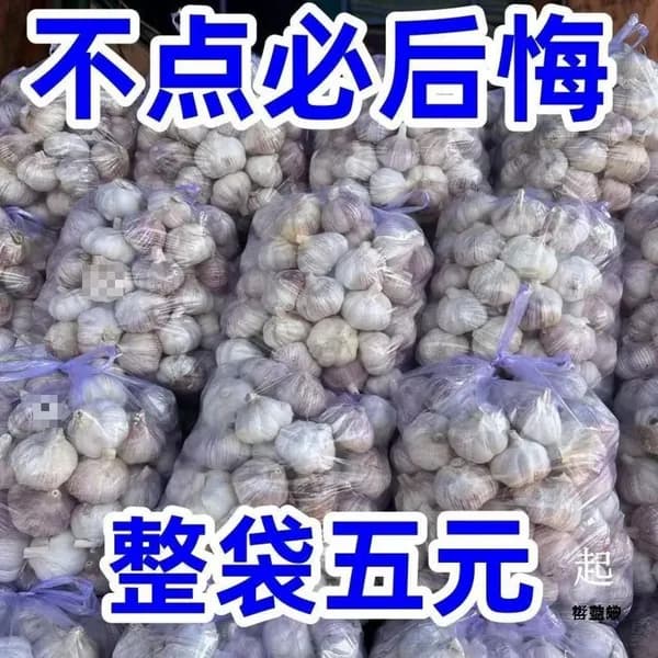 Сушеный чеснок фиолетовый из Цзиньсяня, натуральный пряный продукт для кухни, свежие головки чеснока для приготовления блюд
