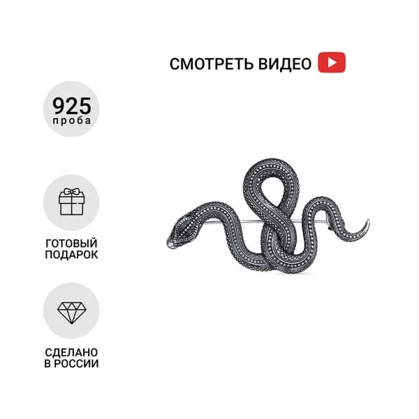 Серебряная брошь Змея