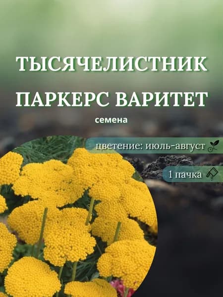 Тысячелистник Паркерс Варитет, семена, 10 шт.