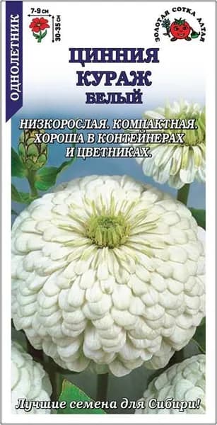 Цинния Кураж Белый /Сотка/ 0,2г/ h-35см d-9см /*