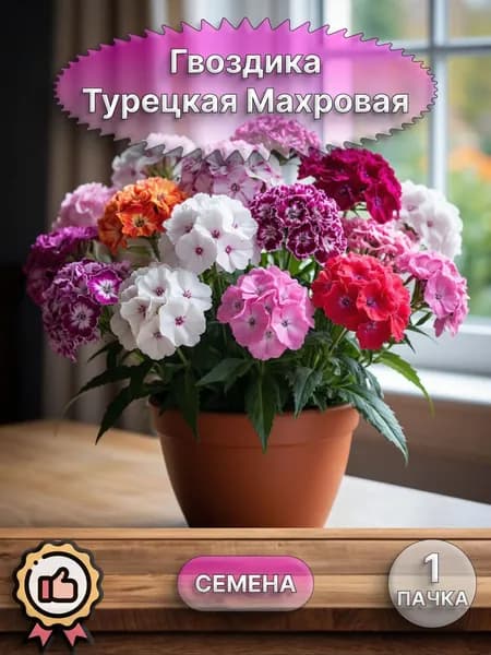 Гвоздика Турецкая Махровая смесь семена 10 шт.