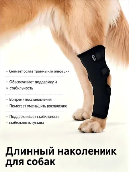 Защита суставов питомцев для прогулок