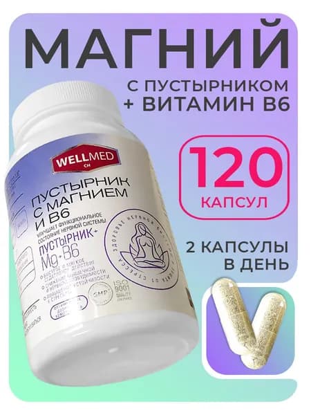 WELLMED CH Пустырник с магнием B6 120 капсул, бад для нервной системы для взрослых, от стресса
