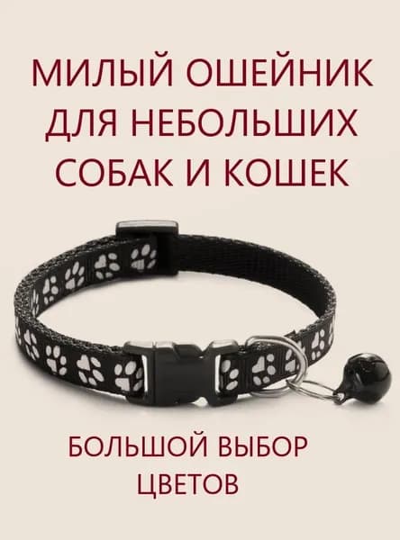 Ошейник