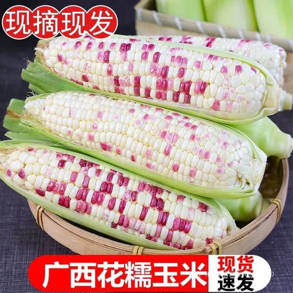 Кукуруза клейкая фиолетовая из Гуанси, свежая, собранная сейчас, натуральный продукт, овощ