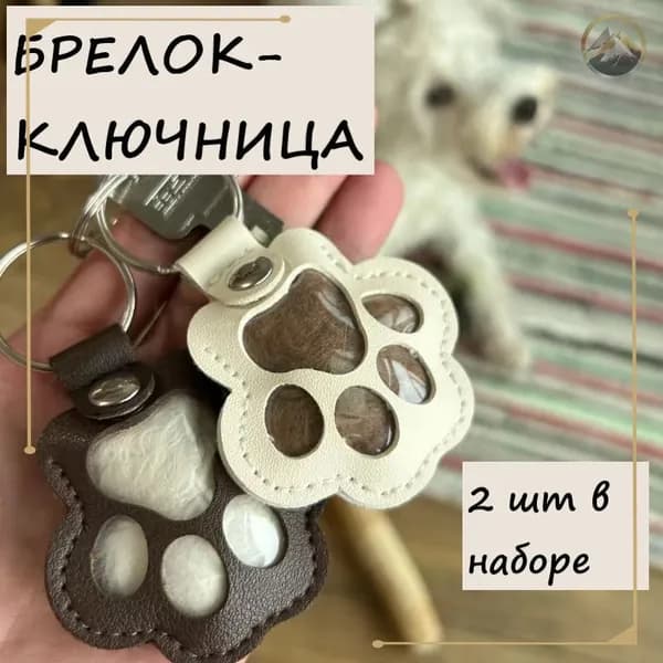 Эксклюзивный адресникключница для сбора шерсти, комплект Лапка из 2 предметов