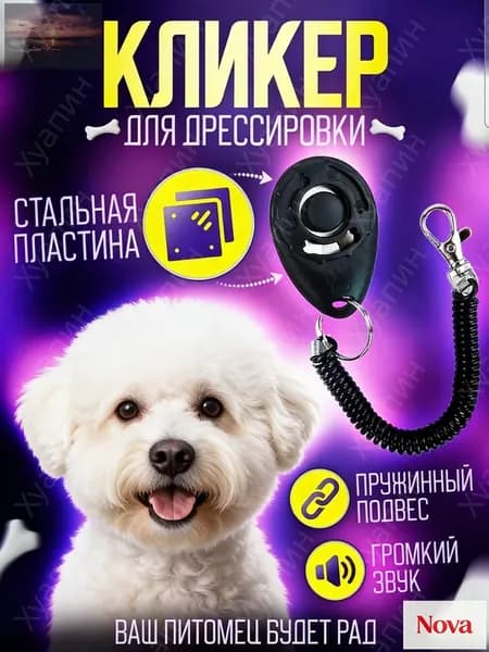 Кликер