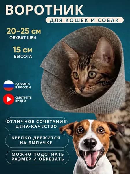 Защитный воротник для кошек и собак ветеринарный, высота 15 см