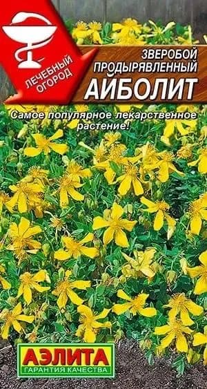 Семена Зверобой Айболит (0,1 г) - Агрофирма Аэлита