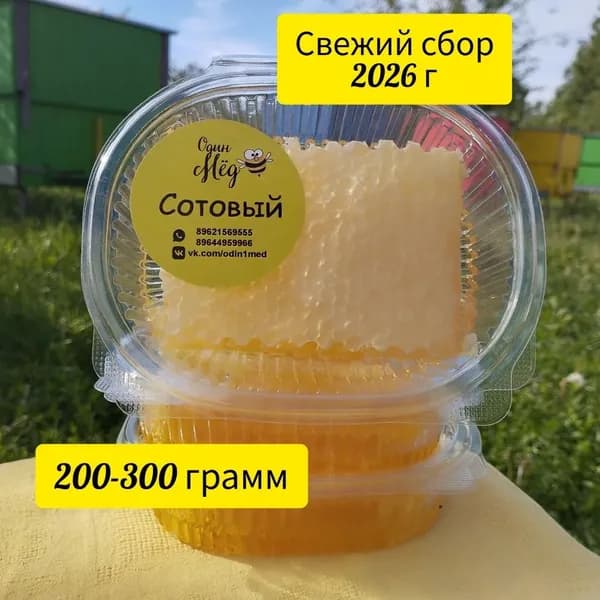 Мёд сотовый, свежий сбор 2026 года, 200-300 грамм