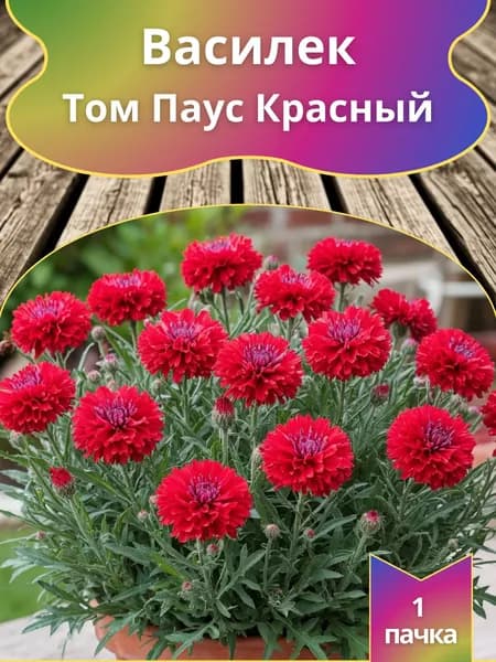 Василёк Том Паус Красный 10 шт