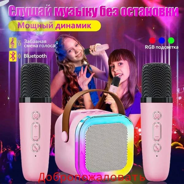 Портативная караоке система, колонка с двумя микрофонами
