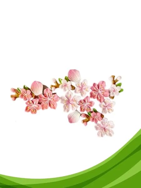 Магниты на холодильник Персиковый цветок (16 шт.)