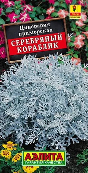 Семена Цинерария Серебряный Кораблик (0,05г) - Аэлита
