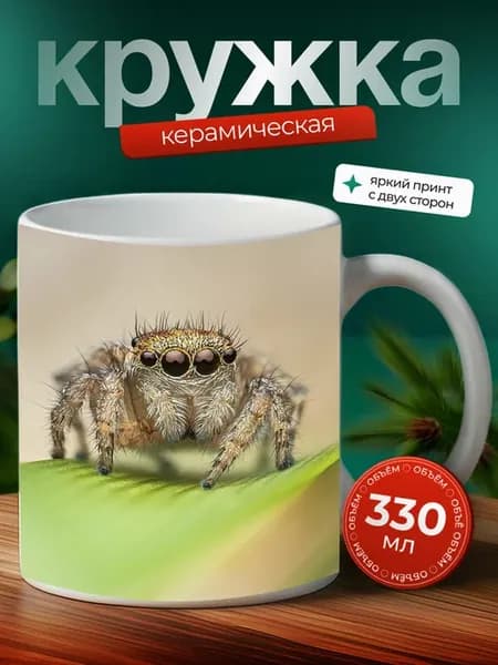 Кружка Ктиниды паук паукообразное 7