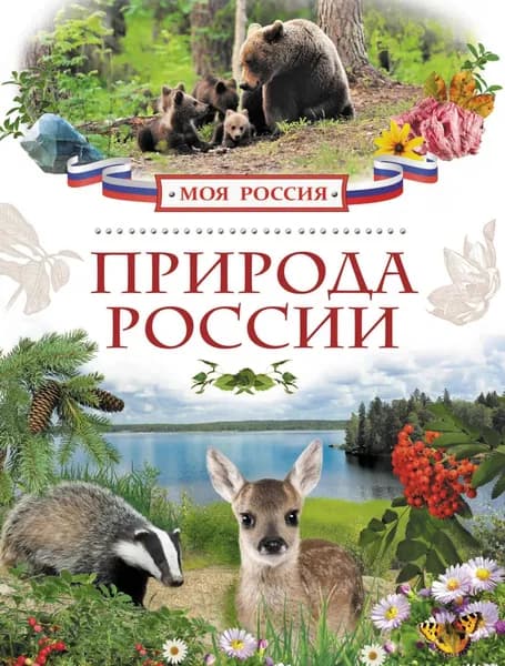 Природа России | Мокиевская Наталья Витальевна, Рысакова Ирина Владимировна | Электронная книга