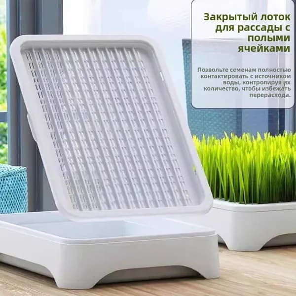 Проращиватель семян,1шт