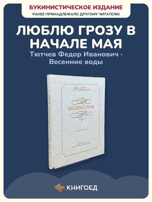 Тютчев Весенние воды стихи сборник поэзия русская классика