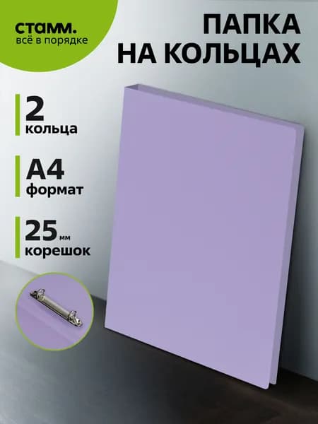 Папка на 2 кольцах А4