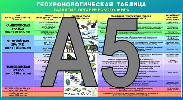 Таблица "Геохронологическая таблица. Развитие органического мира". Методические материалы для подготовки ЕГЭ, ОГЭ. размер 111х210 мм, Формат А5-