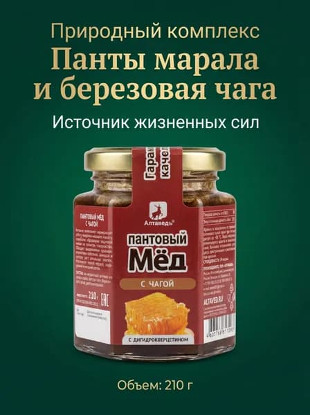 Пантовый мёд с чагой и дигидрокверцетином, алтайский суперфуд для иммунитета и детокса, стекло, 210 г