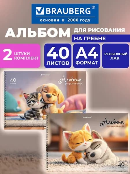 Альбом для рисования в школу А4 40 листов на спирали, набор 2 штуки, обложка twin-лак, Brauberg Best Friends